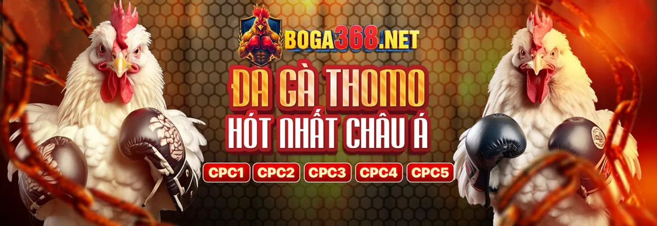 Tải Ứng Dụng f888 Đá Gà
